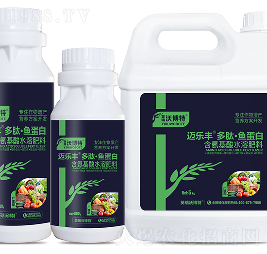 �V�V�Ͷ��ġ��~(y��)����-�~��(l��)�S-Ӣ���ֲ���