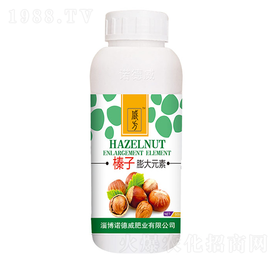 ������Ԫ��-�Z����