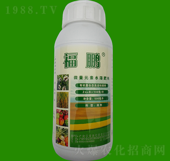 500ml΢��Ԫ��ˮ�ܷ���-���i-Ӣ��