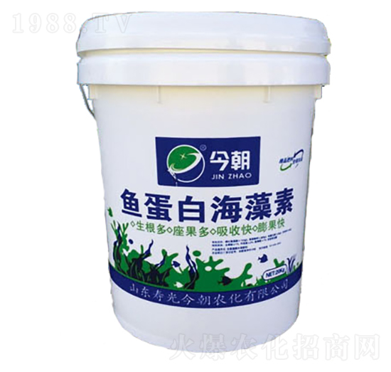 �~���׺�����-���r��