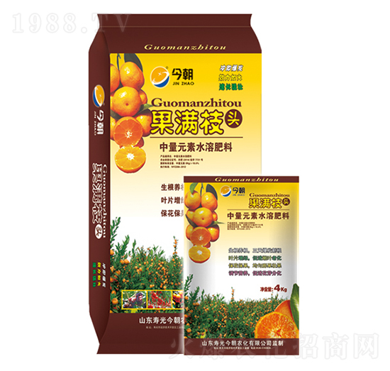 ���M(m��n)֦�^-���r(n��ng)��