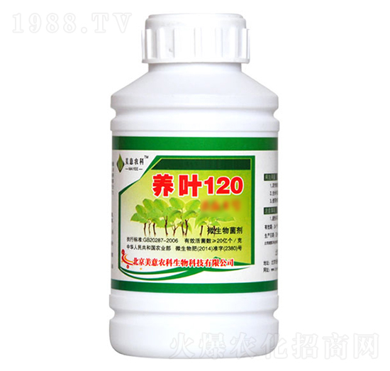 ΢�������-�B(y��ng)�~120-�����r��