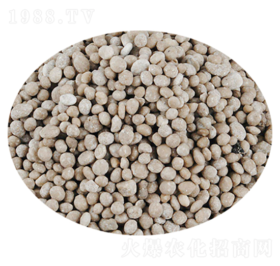 �ͺϷ����w��-���S