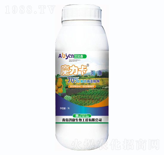 ħ��������-����ɭ-��������