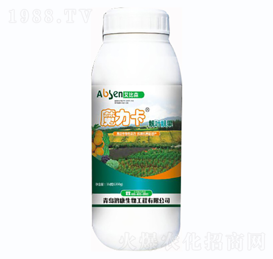 ħ�����n�~�n��-����ɭ-��������