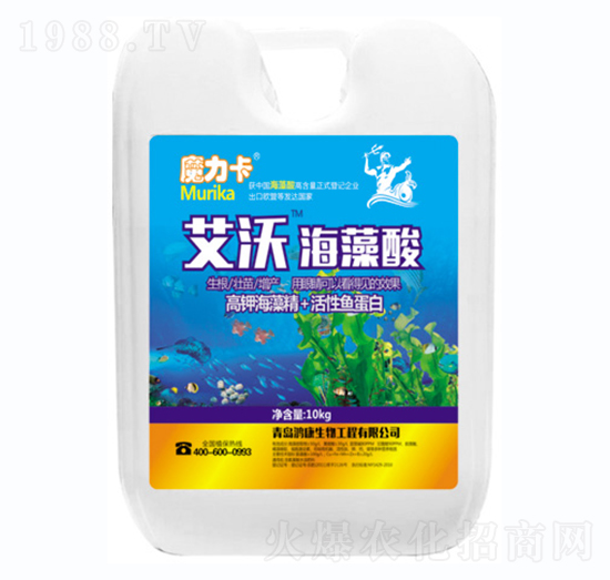 ���ֺ�����-ħ����-��������