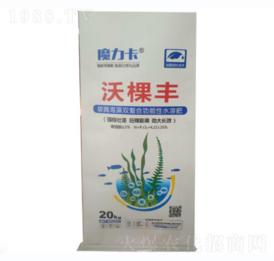 �ֿ��S-ħ����-��������