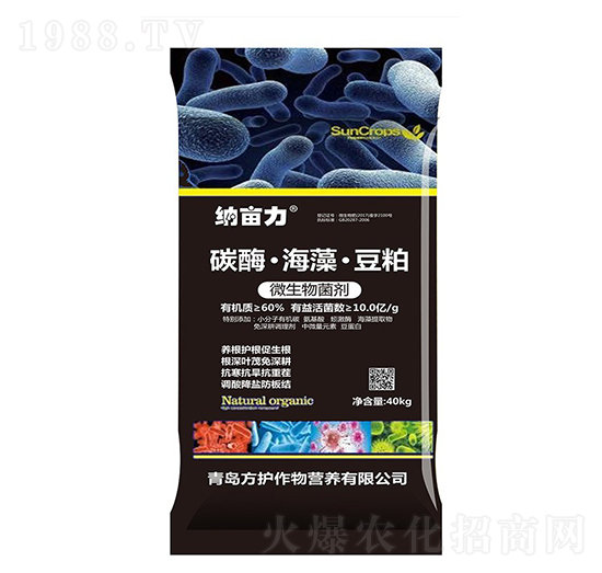 ̼ø���嶹��΢�������-�{����-���o(h��)����