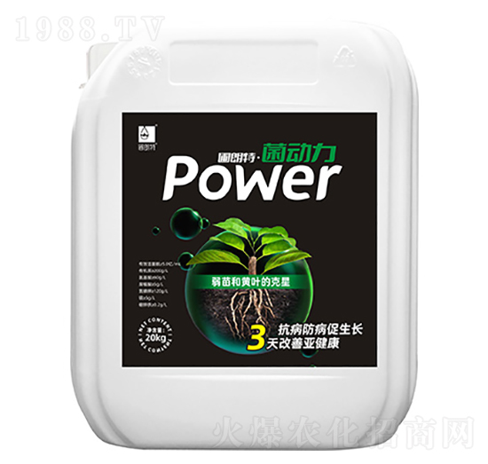 ����(d��ng)��-������