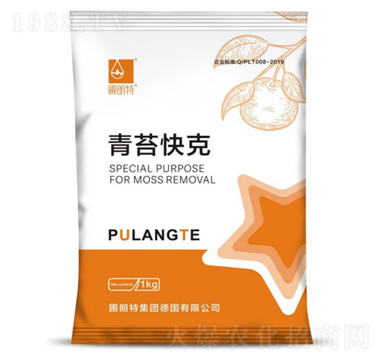 ��̦���-������