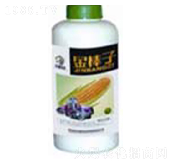 �����-ʿ�ֿƼ�