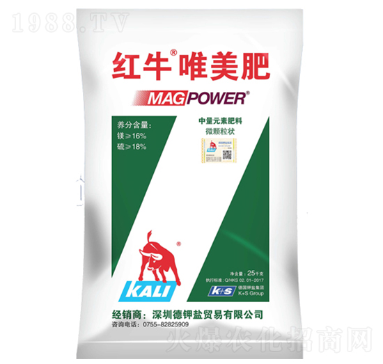 �tţΨ����-���·���