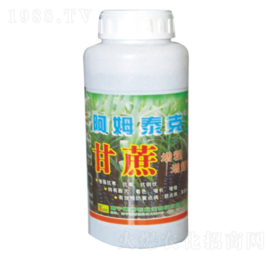 ��������������-��ķ̩��-��ķ�r�I(y��)