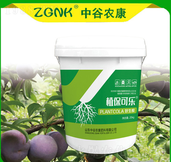 ������-ֲ���ɘ�-�й��r(n��ng)��