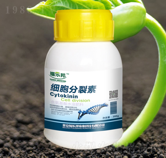 ��(x��)��������-����(l��)��