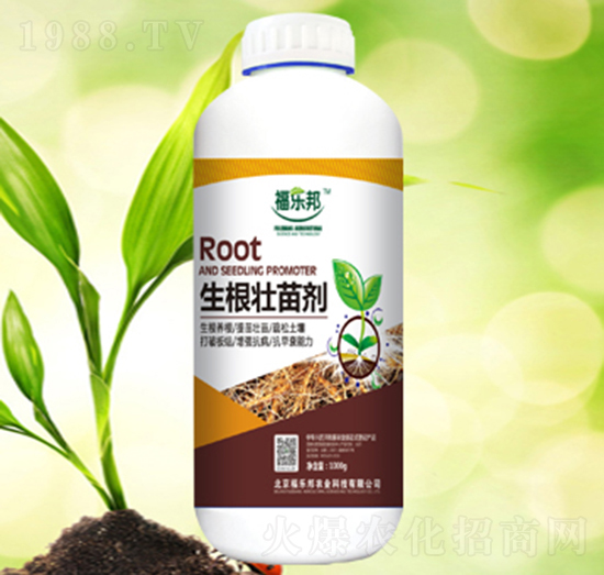 �������焩-����(l��)��