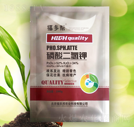 ��������������-����(l��)��