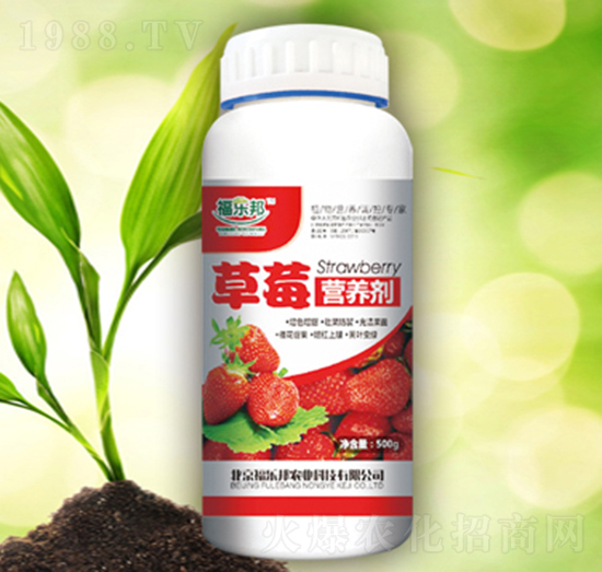 ��ݮ�I(y��ng)�B(y��ng)��-������