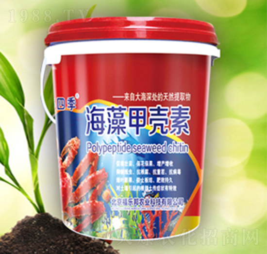 ����ך���-������