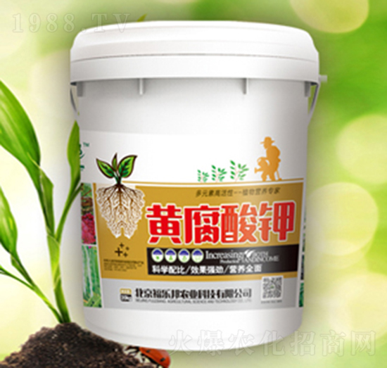 �S�����-����(l��)��