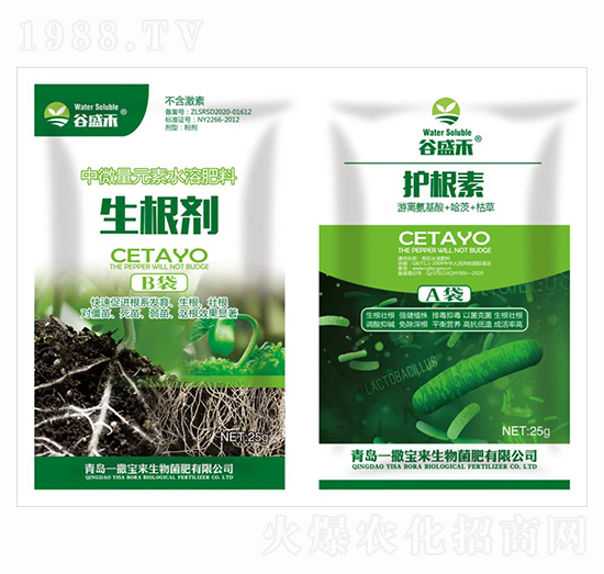 ������+�o(h��)����-һ������(l��i)