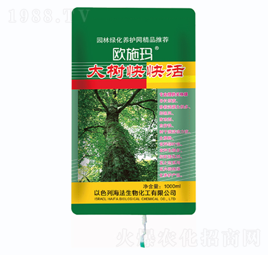 ������-һ������