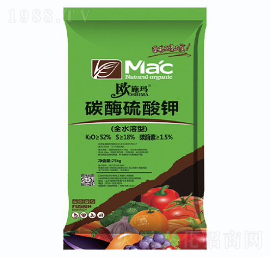 ̼ø�����-һ������