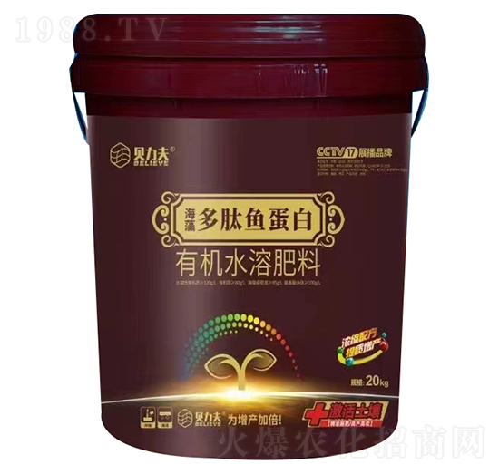 ��������~����-ؐ����-� ��S