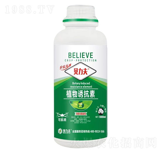 ֲ���T����-ؐ����-��?t��ng)��S