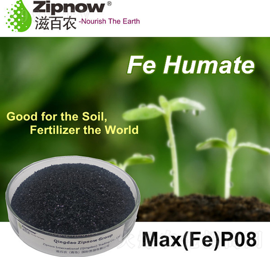 ��ֲ��-�̰��r(n��ng)