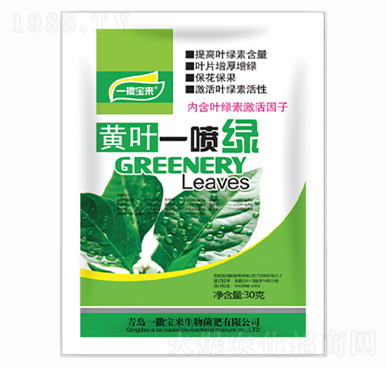 �S�~һ���G-һ������