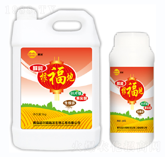 ������-�Z����