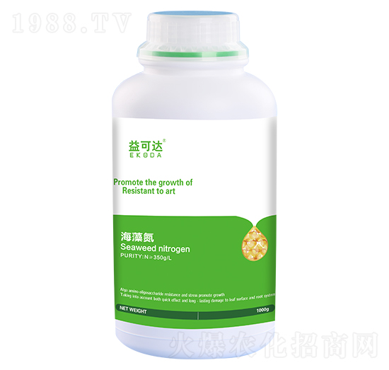 ���嵪-����_-�к̄���