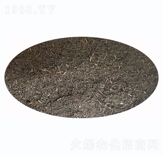 �嶼�۶����ЙC��-ʢ혈@