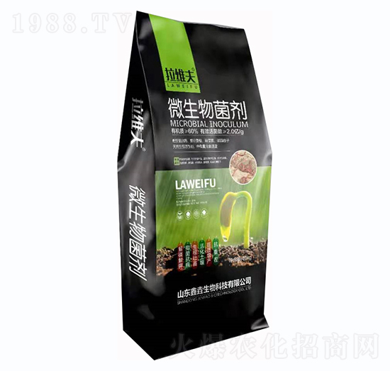 ΢�������-���S��-�Έ�����