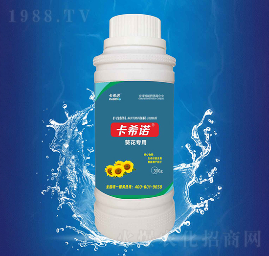 葵花專用-卡希諾