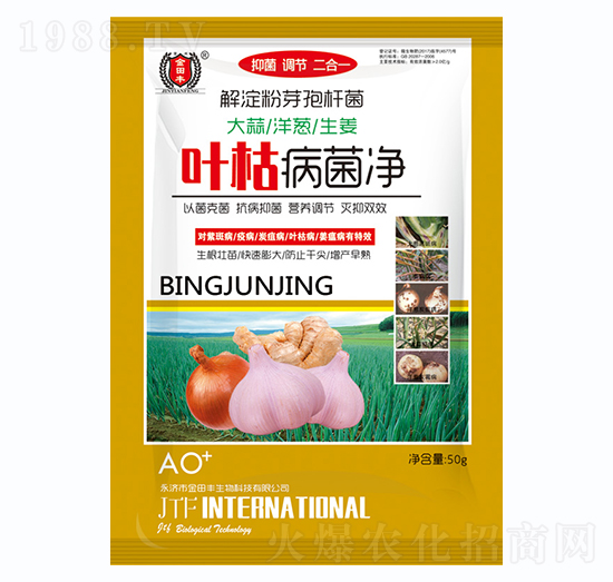 ���⡢���[������-�~�ݲ�����-�����S