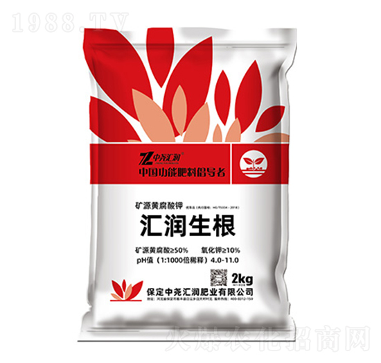 �R�������VԴ�S�����-�Ј�R��