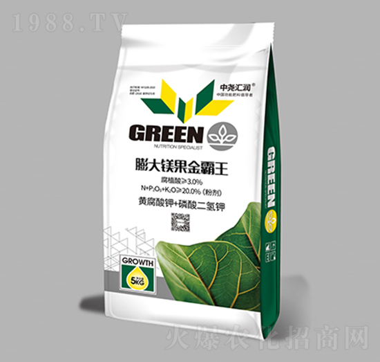 ����V�������-�Ј�R��(r��n)