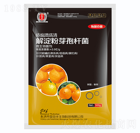 �����ѿ�ߗU��-���蝢����-�����S