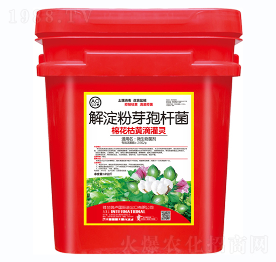 �޻����S�ι��`-�����S