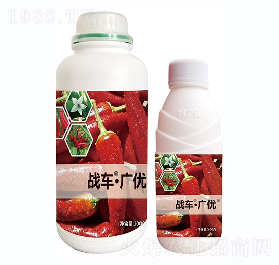 ��(zh��n)܇(ch��)���V��(y��u)-����-��(zh��n)܇(ch��)