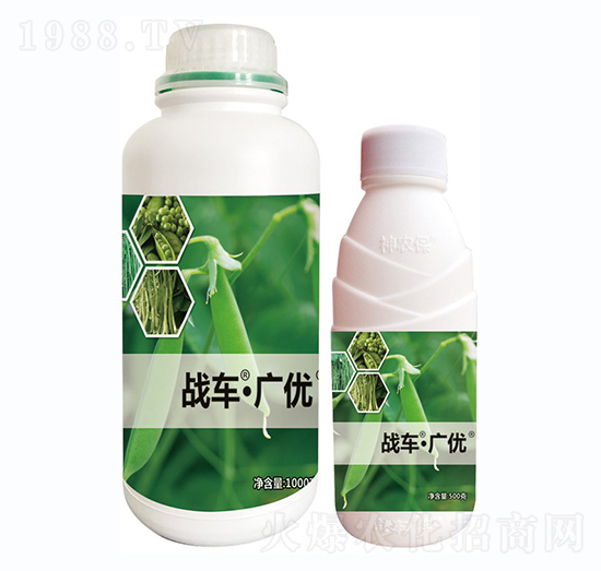 ��(zh��n)܇���V��(y��u)-����-��(zh��n)܇