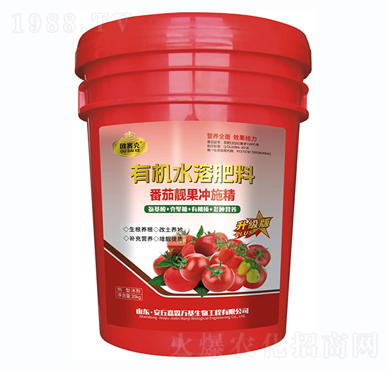 �����n���_ʩ��-�Wِ��-�����f(w��n)��