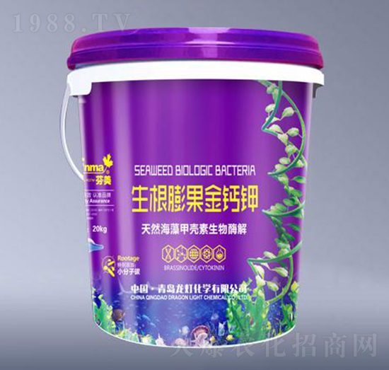 ����������}�-����-����