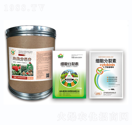 ����������-��(zh��n)܇