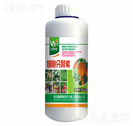 ����������-�ֿ��S