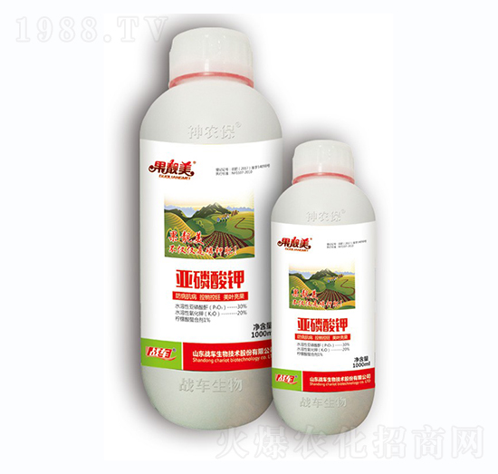 �������-��(zh��n)܇