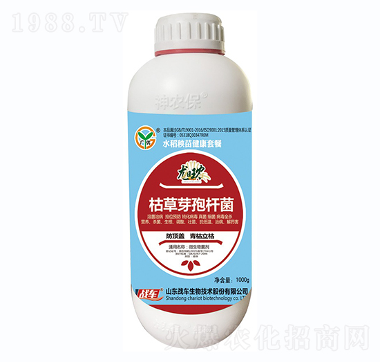 �ݲ�ѿ�ߗU��-��(zh��n)܇