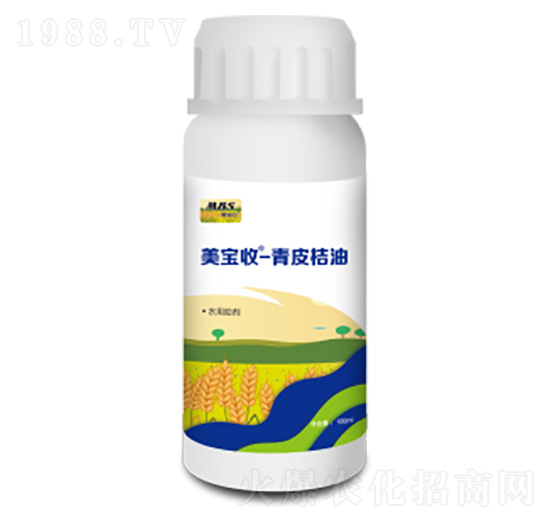 ��������Ƥ����-�M������